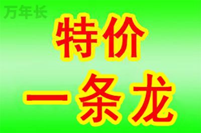 广东省清远市清城区源潭镇墓地联系方式电话号码